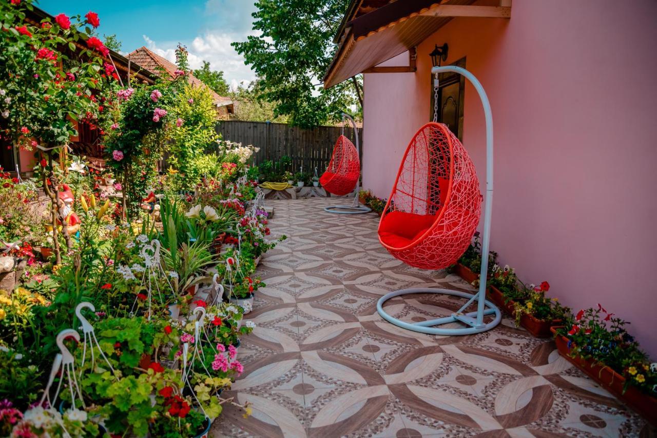 Pensiunea Happy Flowers Greci Exterior foto