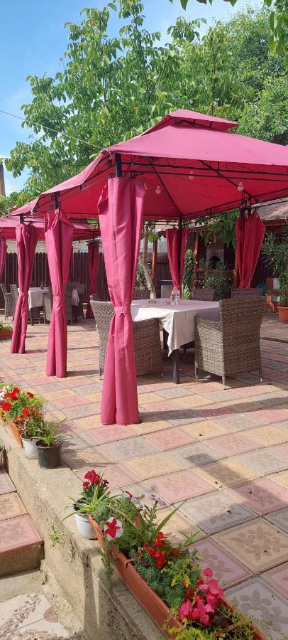 Pensiunea Happy Flowers Greci Exterior foto