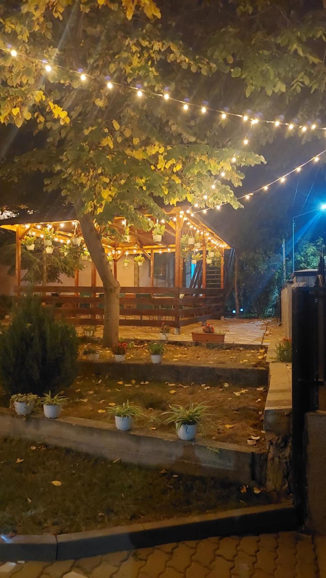 Pensiunea Happy Flowers Greci Exterior foto
